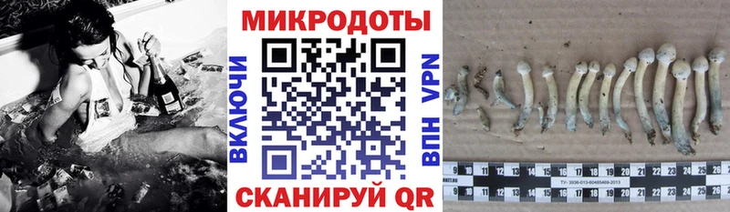 Галлюциногенные грибы Psilocybe  наркошоп  Приморск 